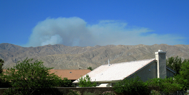 Yucca Valley Smoke (1141)