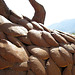 Ricardo Breceda's Dragon sculpture in Galleta Meadows Estate (4476)