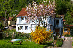 Mein Haus im Frühling - mia domo en la printempo