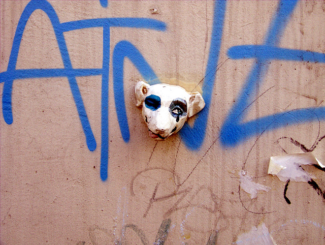 An der Wand klebender, geschminkter Hundekopf