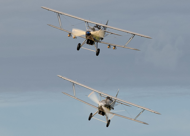 Hawker Hind and Demon (b)