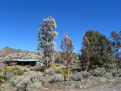 Barker Ranch (3236)