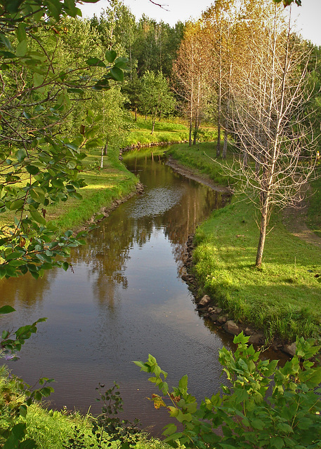 La petite rivière au bas de la colline  / The little river down by the hill.