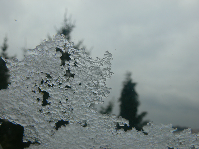 Schneekristalle am Fenster (2)