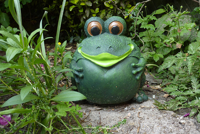 the frog ( pour chiche)