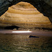 Algarve, Praia Marinha, marine caves (6)
