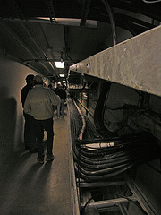 Cables In Tunnel (8161)