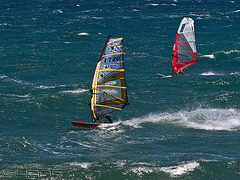 Mundial de Windsurf de Pozo Izquierdo 2008