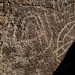 Petroglyph (2666)