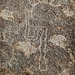 Petroglyph (2670)