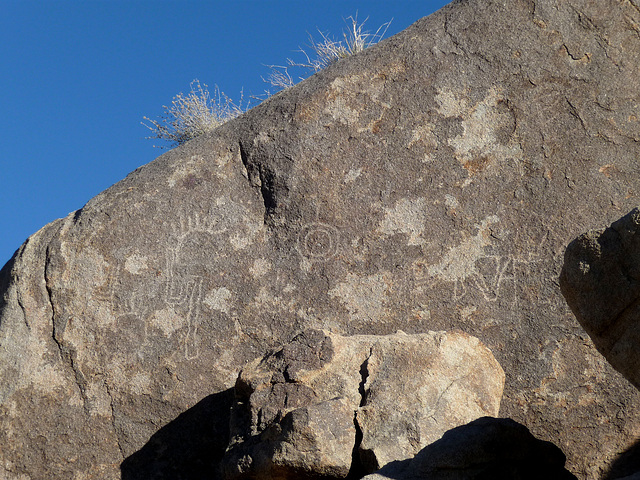 Petroglyph (2673)