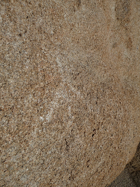 Petroglyph - Probably Modern (2678)