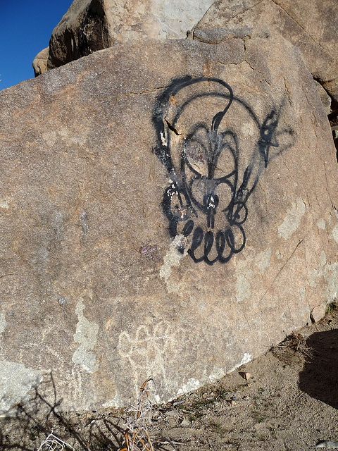 Petroglyph and Graffiti (2659)