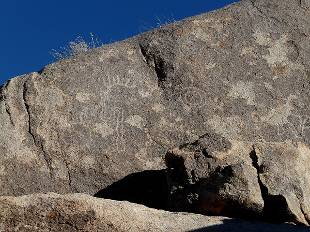 Petroglyphs (2668)
