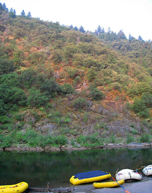 Morning On The American River (1219)