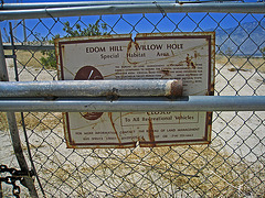 Willow Hole Oasis (0983)