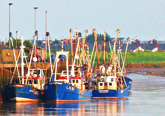 Fishing fleet