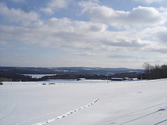 Winter landscapes / Paysages d'hiver au Québec