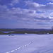 Winter landscapes / Paysages d'hiver au Québec