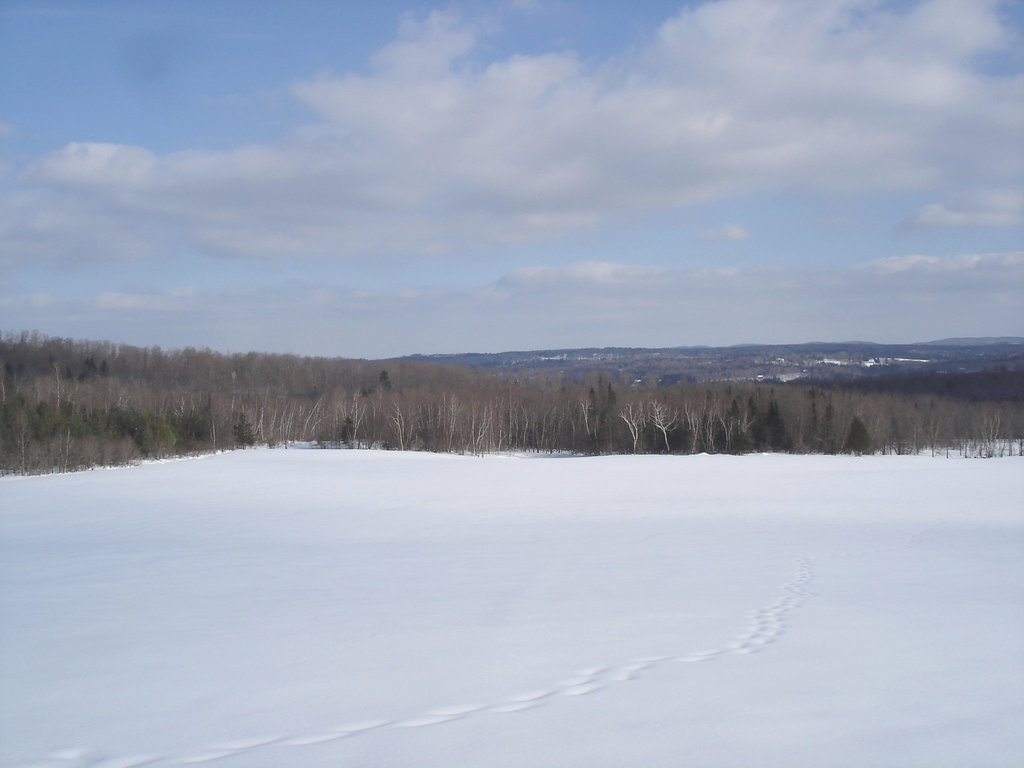 Paysage de l'hiver Québecois /   Quebec winter landscapes -  St-Benoit-du-lac .  Février 2009