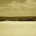 Paysage de l'hiver Québecois /   Quebec winter landscapes -  St-Benoit-du-lac .  Février 2009-  Sepia