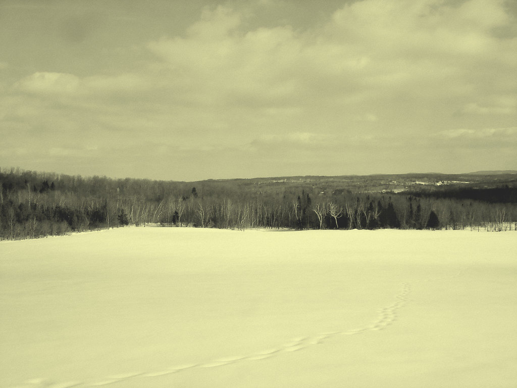 Paysage de l'hiver Québecois /   Quebec winter landscapes -  St-Benoit-du-lac .  Février 2009  - Vintage / En photo ancienne