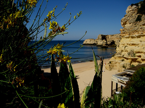Algarve, Praia Marinha (1)