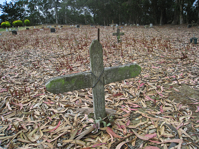 Greenlawn Cemetery - Nonendowment Care Section (1243)