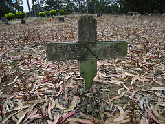 Greenlawn Cemetery - Nonendowment Care Section - Lena E. Caldwell (1244)