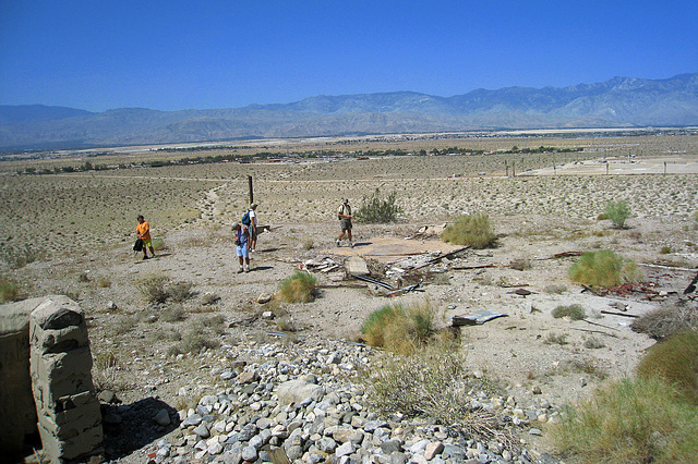 Homestead Remains at Willis Palms (1019)