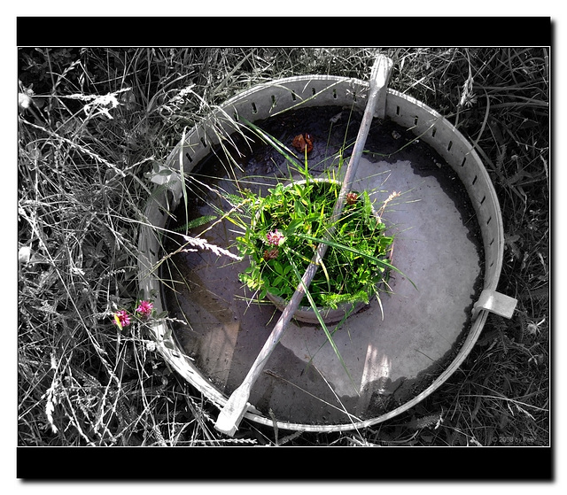 Nature`s Flower Basket