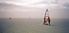 Wind Surfers (044-20A)