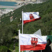 Flagge von Gibraltar