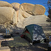 Camp at Jumbo Rocks (4603)