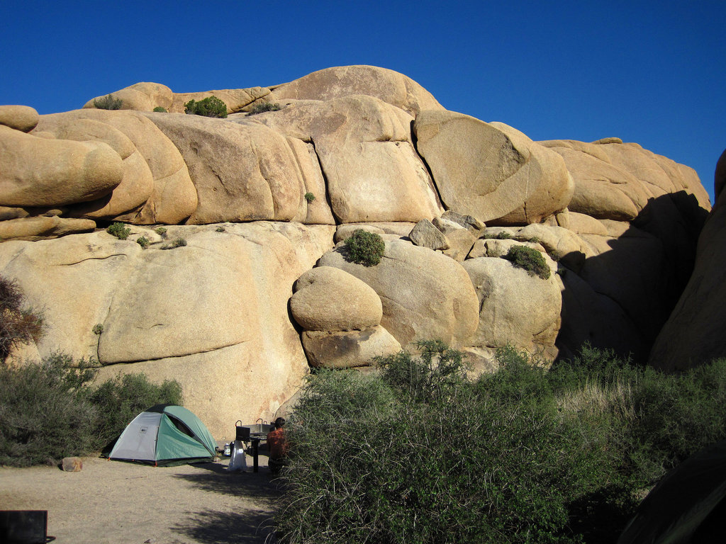 Camp at Jumbo Rocks (4607)