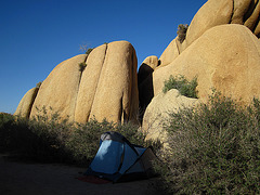 Camp at Jumbo Rocks (4608)