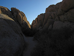 Jumbo Rocks (4605)