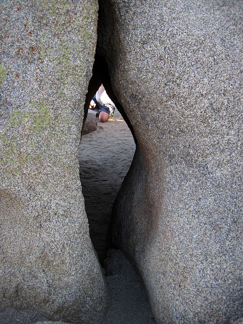Jumbo Rocks (4610)