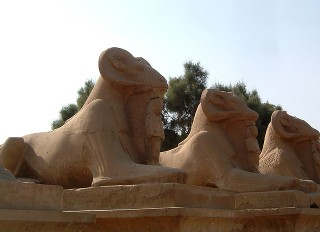 Criosphinx à Karnak, Egypte