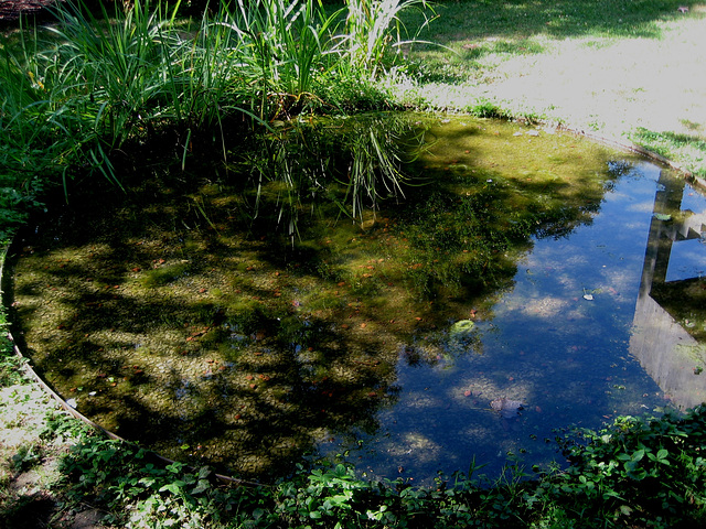 Lisboa, Garden of Foundation Calouste Gulbenkian, artificial small swamp (1)