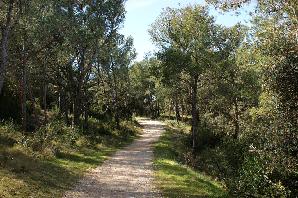 sentier de Provence