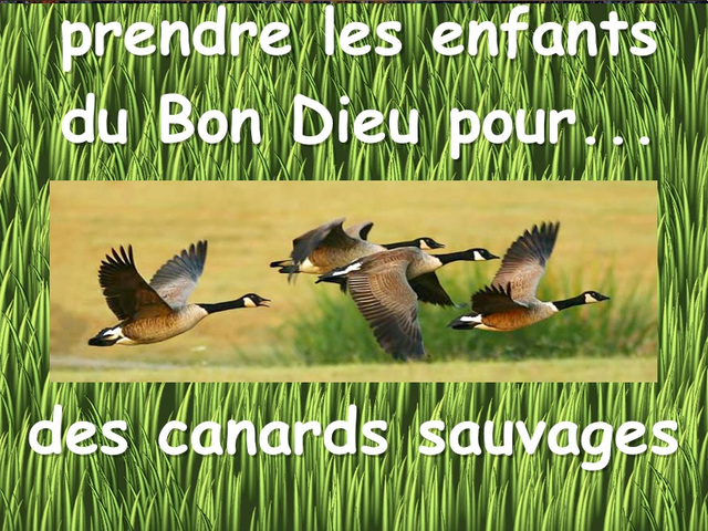 Jacques Douai chante : Trois Canards Sauvages Jacques Douai chante : Trois Canards Sauvages