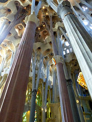 Sagrada Família : une forêt de lumière et de couleurs
