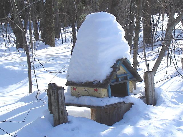 Courrier et oiseaux  / Bird house mailbox -  St-Benoit-du-lac  au Québec. CANADA.  Février 2009