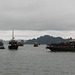 Boote in der Halong - Bucht