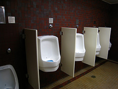 Descanso Gardens Urinals (2228)