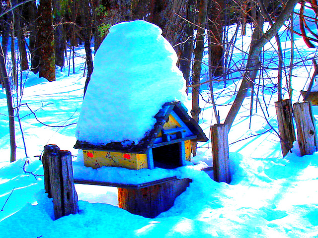 Courrier et oiseaux  / Bird house mailbox -  St-Benoit-du-lac  au Québec. CANADA.  Février 2009 - Photofiltrée
