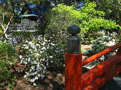 Japanese Garden (2312)