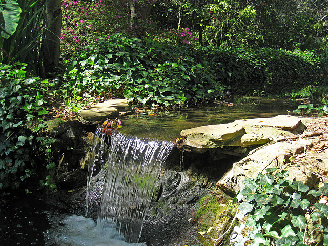 Descanso Gardens Waterfall (2244)