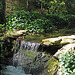 Descanso Gardens Waterfall (2244)